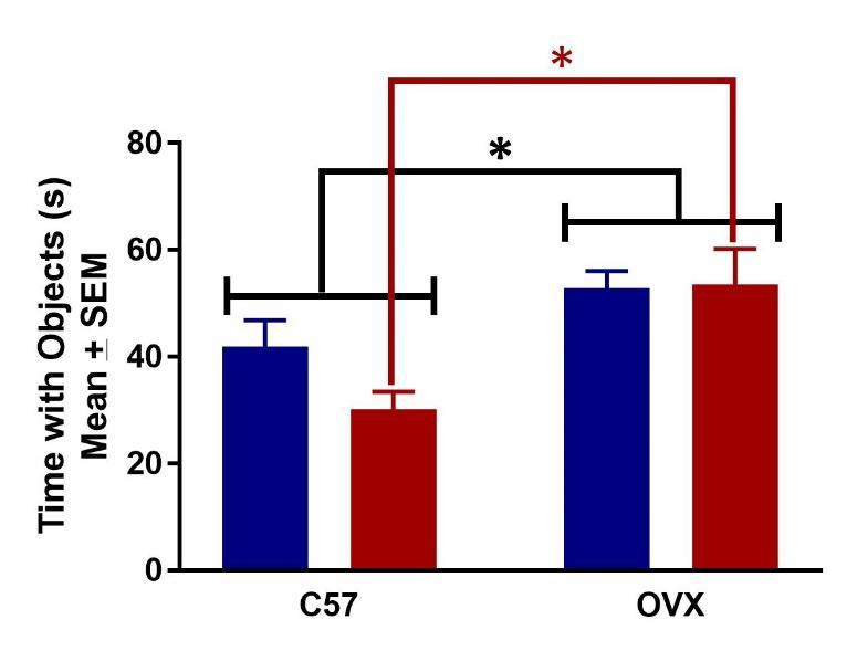 days 2 and 3 Ovariectomized (OVX) mice showed a significantly greater recognition index,