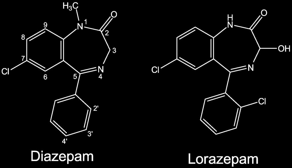 Benzodiazepine receptor