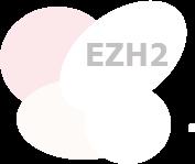 EZH2 Activity 2013 Accomplishments Is Down-regulated as Progenitor Cells Become Differentiated Stem or Progenitor