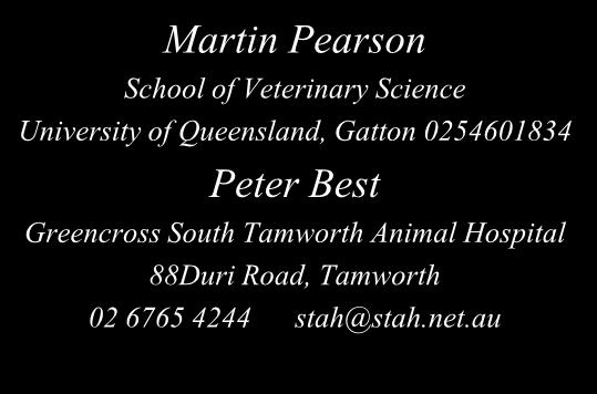 Epidural analgesia technique Martin Pearson School of Veterinary Science University of Queensland, Gatton