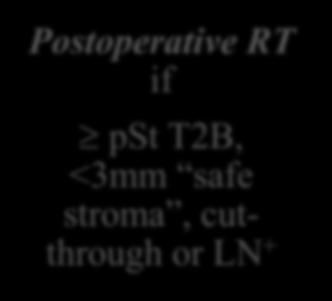 167: RT Postoperative RT if pst T2B, <3mm safe