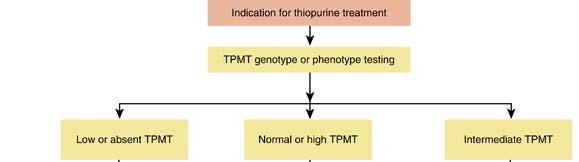 Therapeutic Drug Monitoring Algorithm for Thiopurines Indication for thiopurine treatment TPMT genotype or phenotype testing Low or Absent TPMT Normal