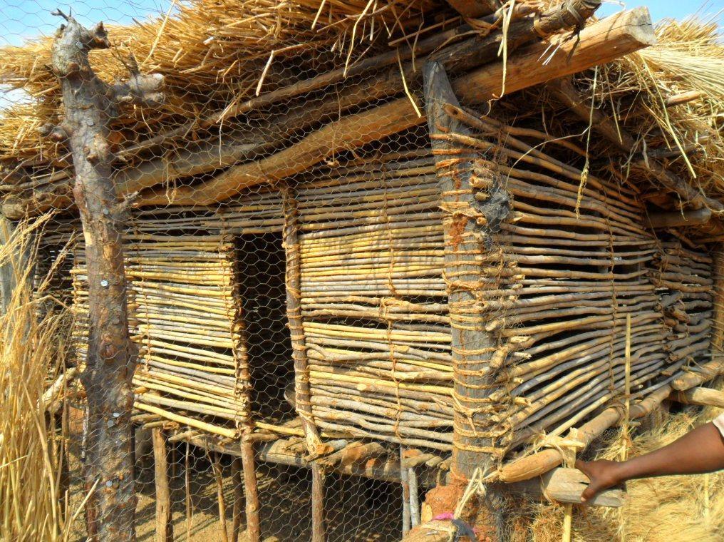 This is another chicken shelter made by parents once they get the idea from their