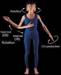 Tri-planar, circular motion at the hip or shoulder