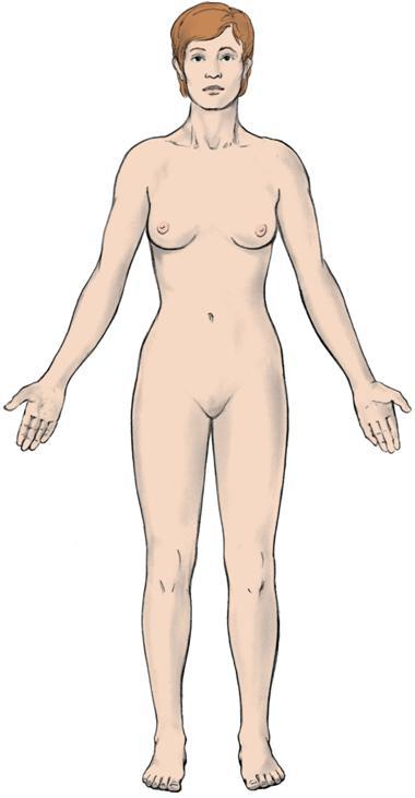 Anatomical Position Anatomical Terms In anatomic position, the body is standing erect. The arms are at the sides with the palms and toes directed forward and the eyes looking forward.