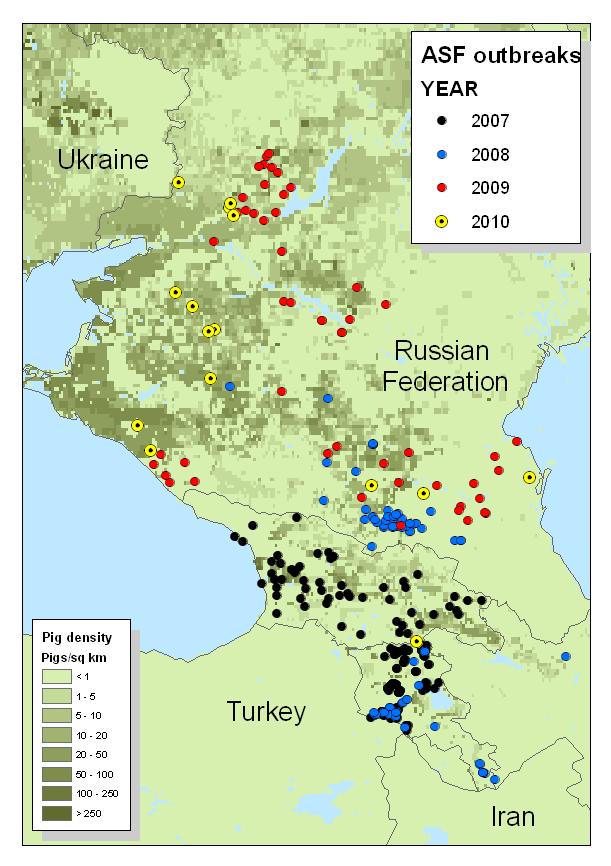 ASF in the Caucasus & RF Tendency of perpetuation, both in domestic pigs and wild boar; Endemic situation (4 yr); Pork trade & movement of live