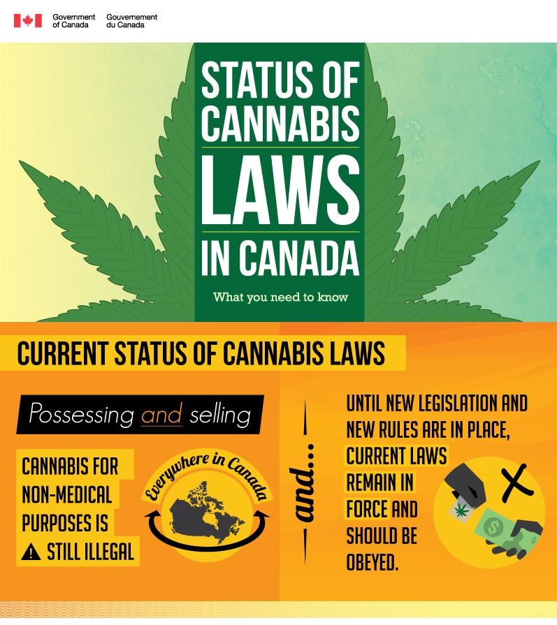 Current Legal Status Until the new legislation passes: Non-medical use is illegal Medical use is only allowed owing to an