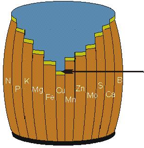 Liebeg s law of the minimum This principle compares the yield of a crop with a barrel, where the boards form the essential nutrients.
