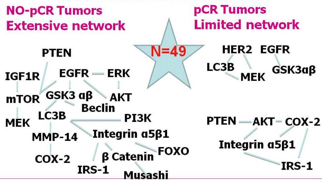 model for research Dual pathway blockade Lapatinib, pertuzumab mto, PI3K, Akt