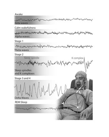 VI. Sleep and Dreams A. Types and stages of sleep 1.EEG activity a.beta activity 13-40 Hz b.alpha activity 8-12 hz c.