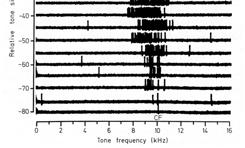 auditory-nerve fibre responds only to a narrow