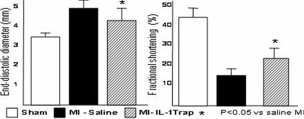 572 Heart failure models and mechanisms P3367 Interleukin-1Trap, a novel interleukin-1 antagonist, inhibits apoptosis and ameliorates cardiac remodeling in experimental acute myocardial infarction A.