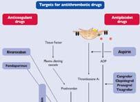 Pharmacotherapy in Acute