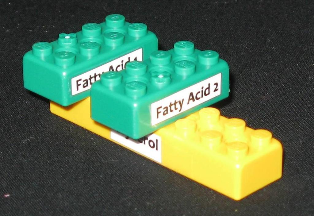 Lego Models: Lipid