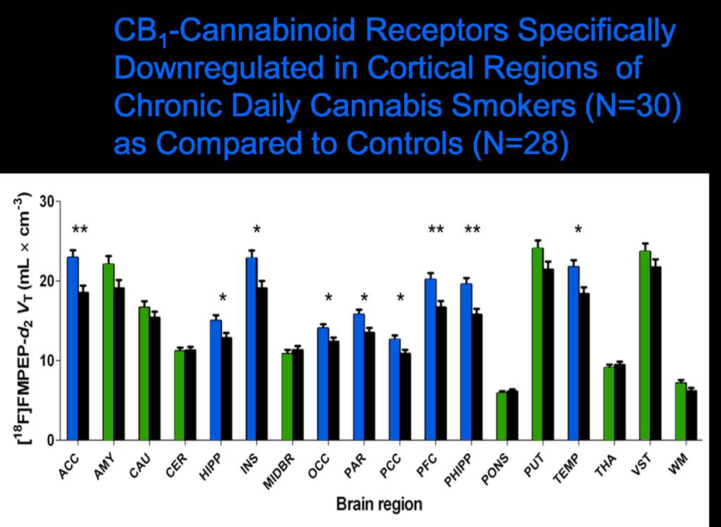 Cannabinoid CB1 Receptors in Human Brain