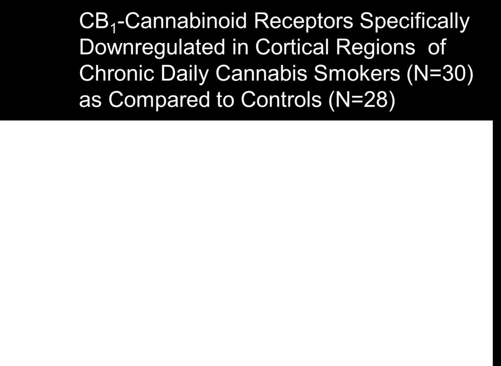 Marijuana Abusers Controls ACC/CBL Van