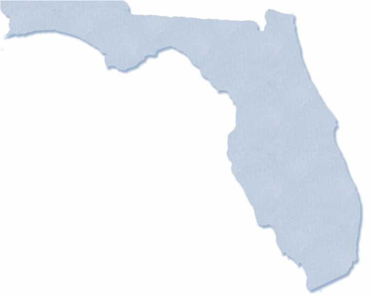 2014 FLORIDA YOUTH SUBSTANCE ABUSE