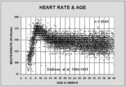 Fetal Heart Rate Dubose et al obgyn.net 2011 Fetal Circulation/Heart Function Rizzo G, Arduini D, Romanini C. Umbilical vein pulsations: a physiological finding in early gestation.
