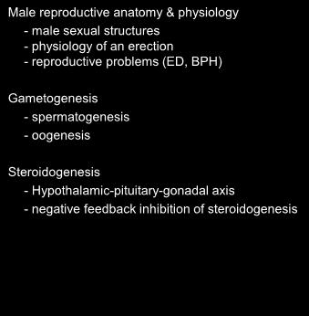 Review Male reproductive anatomy & physiology - male sexual structures - physiology of an erection - reproductive