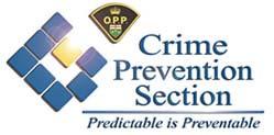 ONTARIO POLICING STANDARDS MANUAL ELDER ABUSE DEFINITION: Any act that harms or threatens to harm the health or