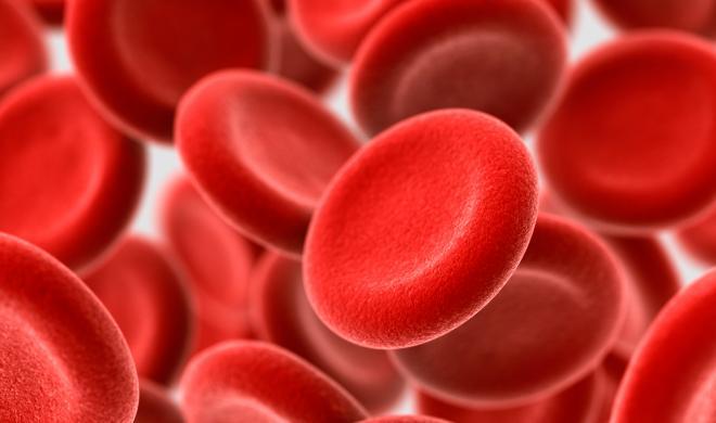 The Role of Red Blood Cells Red blood cells