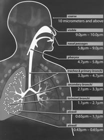 updraft neb Breath Enhanced Constant output with an inspiratory boost Dosimetric