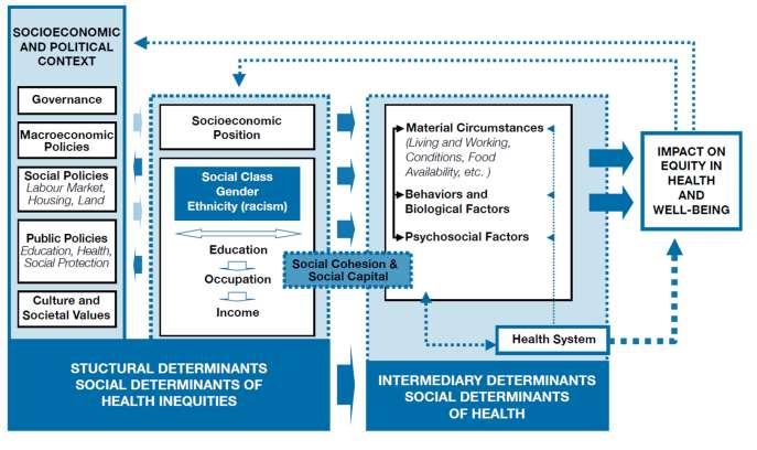 Intermediary determinants of health - immediate Material circumstances (including access to care) Behaviors and biologic factors Psychosocial factors Structural determinants of health - upstream