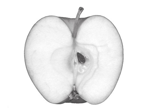 6 2 Fig. 2.1 shows a tomato and Fig. 2.2