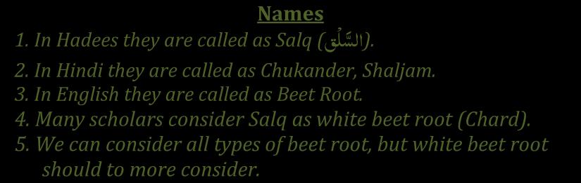 Tibb-e-Nabawi by Dr. Mohammed Shakeel Shamsi Names يق ( Salq 1. In Hadees they are called as.( اىع 2. In Hindi they are called as Chukander, Shaljam. 3. In English they are called as Beet Root. 4.