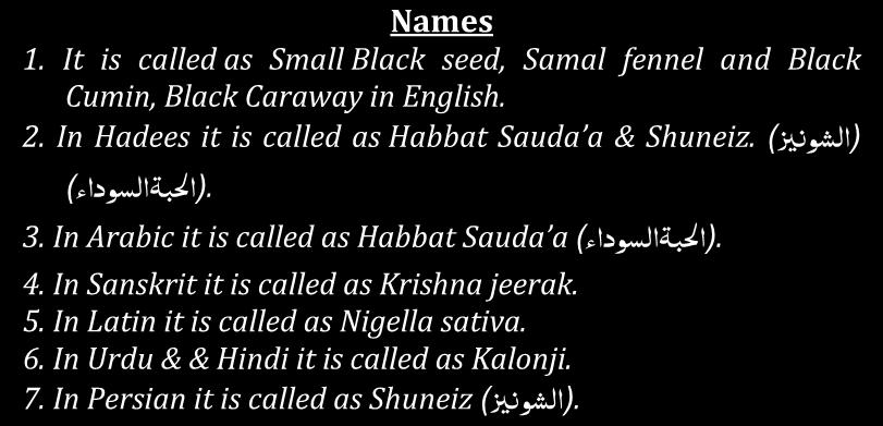 - : )ا لبۃاىعوداء ) (Kalonji) Lesson no. 45 Black Caraway Names 1. It is called as Small Black seed, Samal fennel and Black Cumin, Black Caraway in English. )اىؼو زي ) Shuneiz. 2.