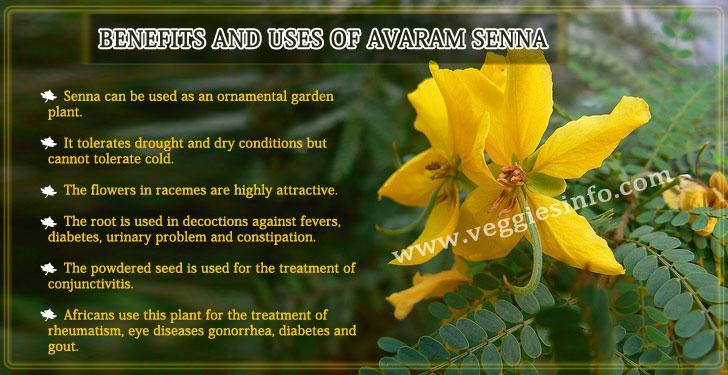 Clinical studies suggest that Senna is effective in managing constipation associated with a number of causes including surgery, childbirth & use of narcotic pain relievers.