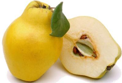 Prophet s guidance about it: - Benefits of Safarjal (Quince) on Qalb, Breath, Chest & Heart: - 1.