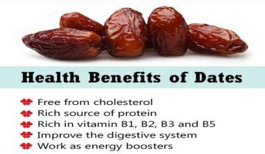 balanced & nutritious diet for both mind & body. Dates & date palms have been mentioned in the Holy Quran nearly 20 times, thus showing their importance.