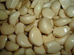 ہ ہ ہ Tibb-e-Nabawi by Dr. Mohammed Shakeel Shamsi - : )وث ) Garlic Lesson no. 36 ( ) اىهصاث Garlic Leek Names 1. It is called as Fum in Quran.. )وث ) Saum 2. In Hadees it is called as 3.