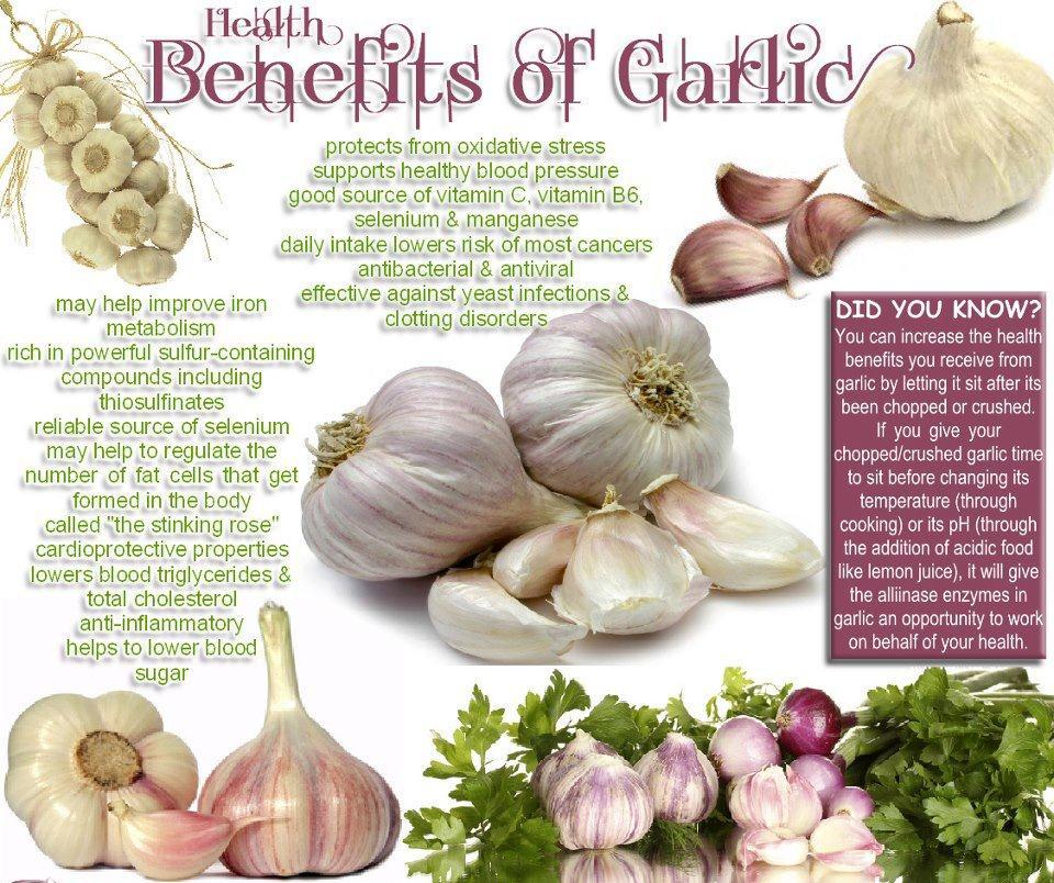 cases, anaphylaxis. Garlic-sensitive patients show positive tests to diallyl disulfide, allylpropyldisulfide, allylmercaptan & allicin, all of which are present in garlic. Conclusion of Hadees : - 1.