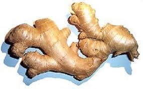 In Gujrati it is called as Adu. 7. In Sanskrit it is called as Ada. Quranic reference of ginger: - 1. Chapter No. 76 (Surah) Dahr verse no.