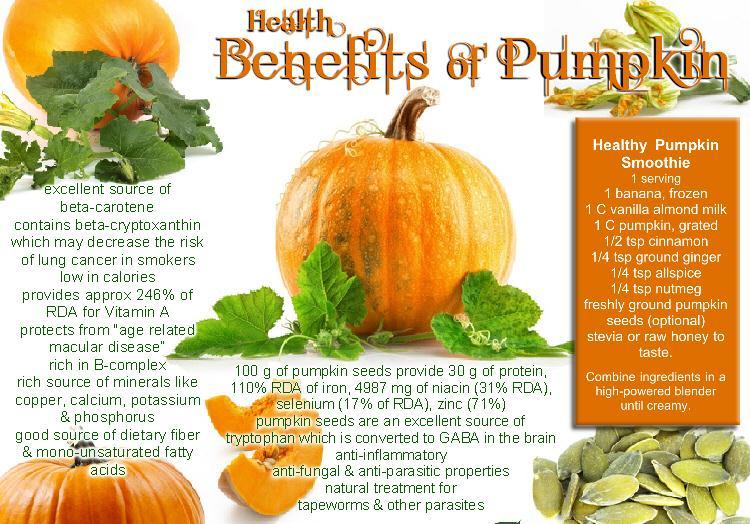 In Hadees it is mentioned it increases the brain function & intelligence: - For instance, 100 g of pumpkin seeds provide 559 calories, 30 g of protein, 110% RDA of iron, 4987 mg of niacin (31% RDA),