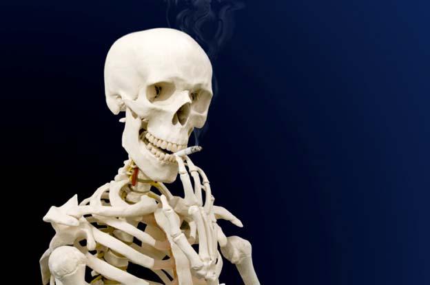 Tobacco and Bone Health Prof. Dr.