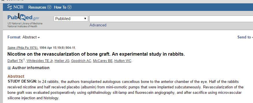 Revascularization of the bone graft in a Rabbit model