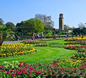 15.00 15 incl. entrance, guided tour and transport (lunch at own expense). Explore the delights of Kew in Spring with an informative orientation tour followed by free time to explore at your own pace.