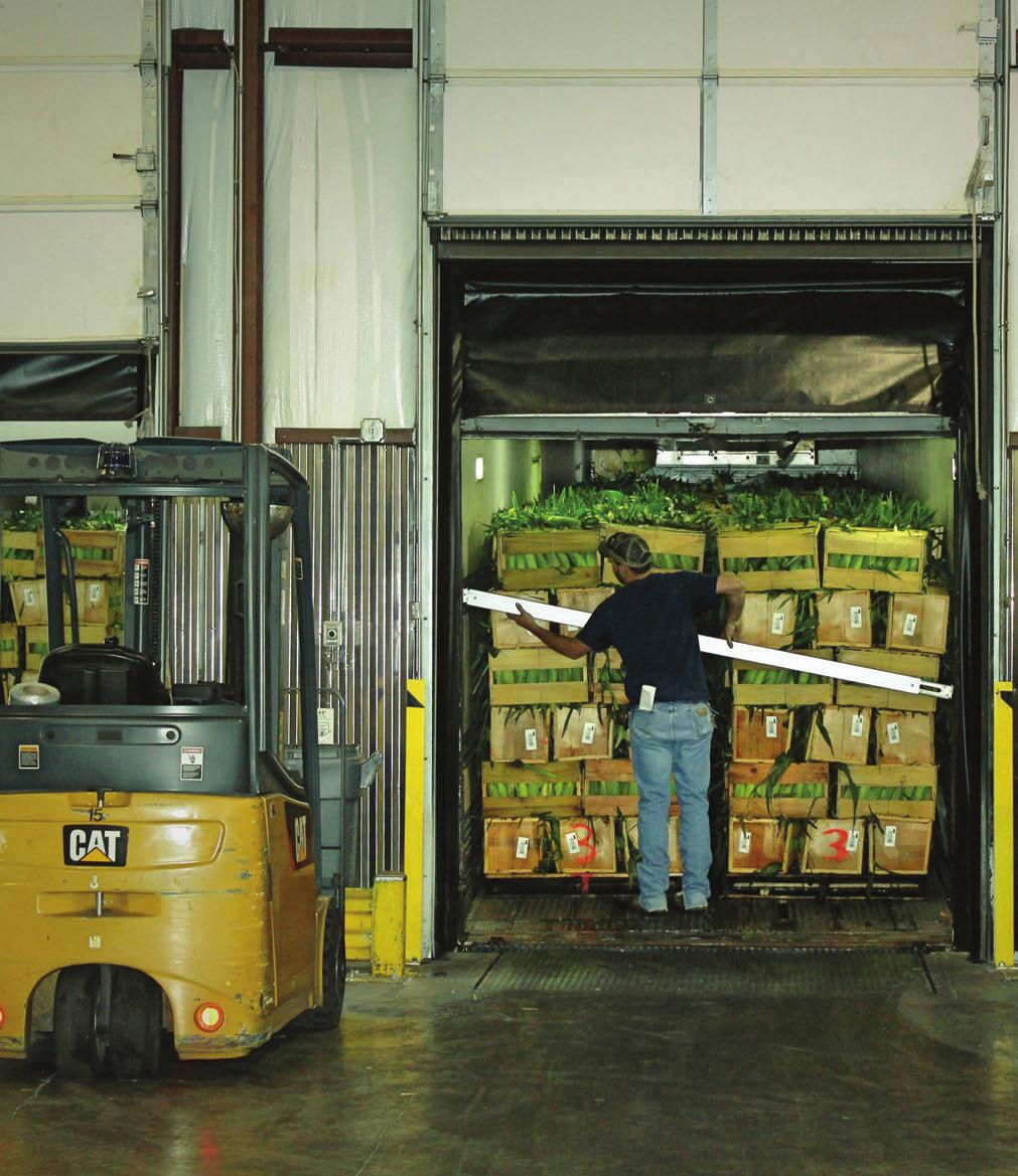 FEEDING HEALTH Since opening our doors 35 years ago, Second Harvest Food Bank has been reducing food waste and feeding communities across Northwest NC. In fact, we move 36 tons of food every day.