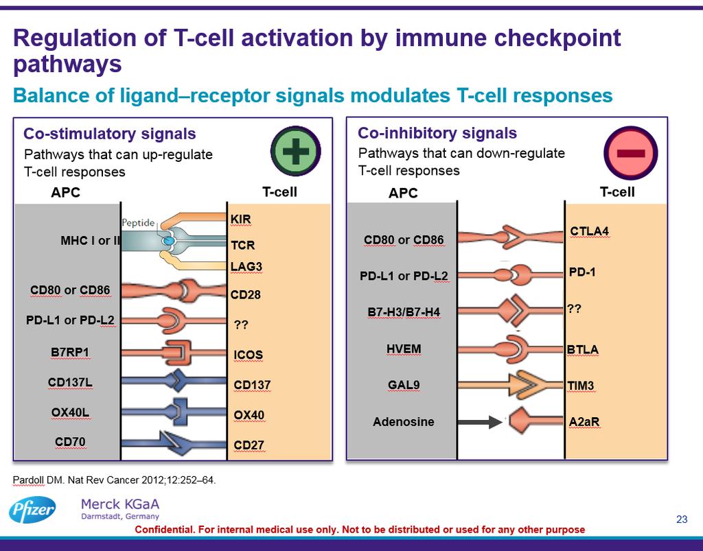 Future directions ADCC T cell receptor regulation NK cell FC