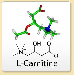 carnitine Carnitine AKA -hydroxy