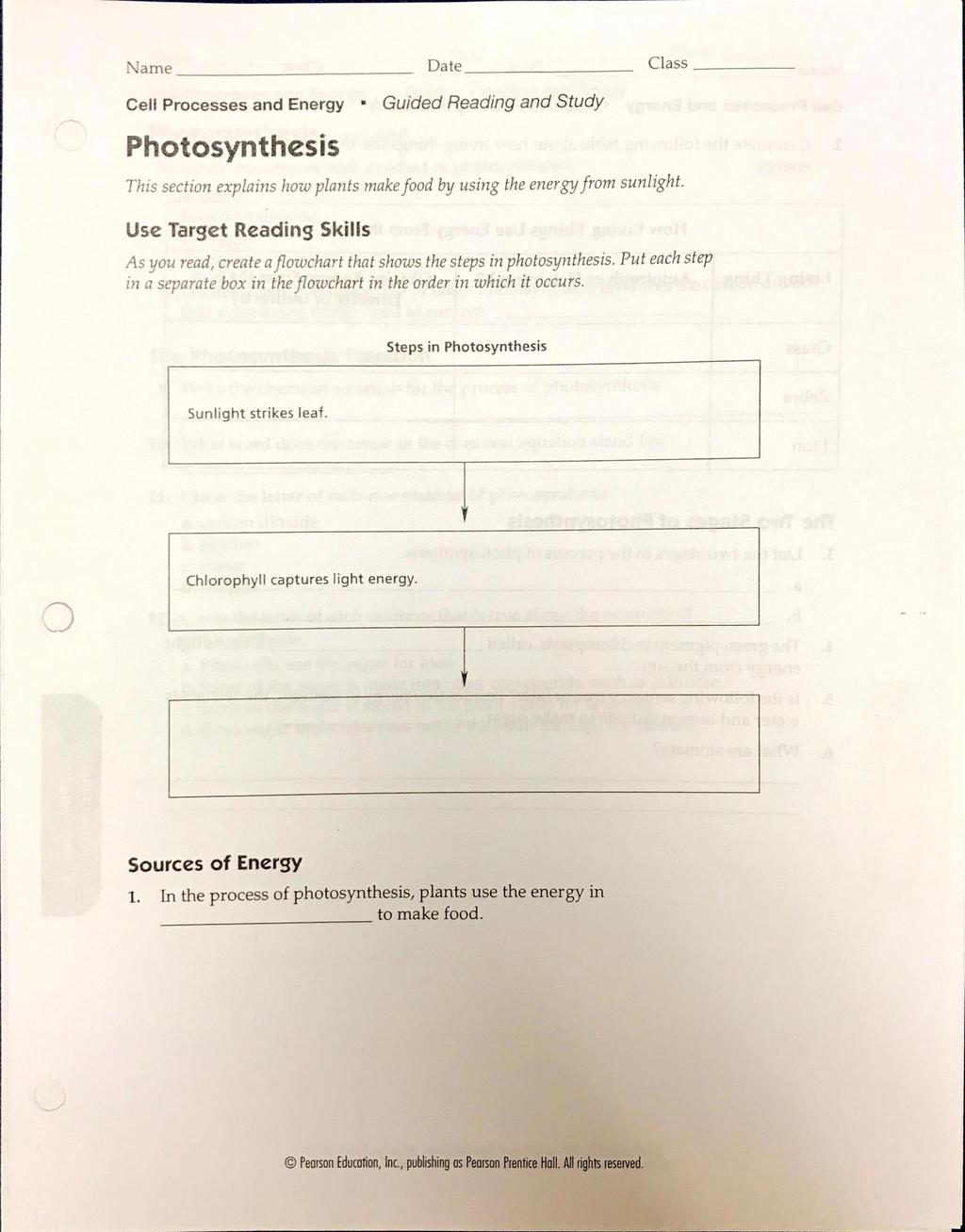 Cell Processes and Energy Photosynthesis Guided Reading and Study This section explains how plants make food by using the energy from sunlight.