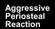 Periosteal Reaction tibia 34yoF 2004 Radiological Society