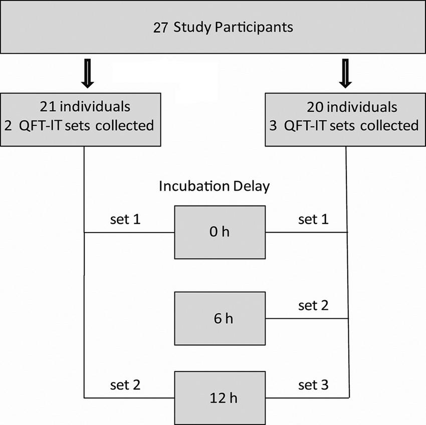 VOL. 48, 2010 IMMEDIATE INCUBATION OF QFT-IT 2673 FIG. 1. Schematic overview of the study design.