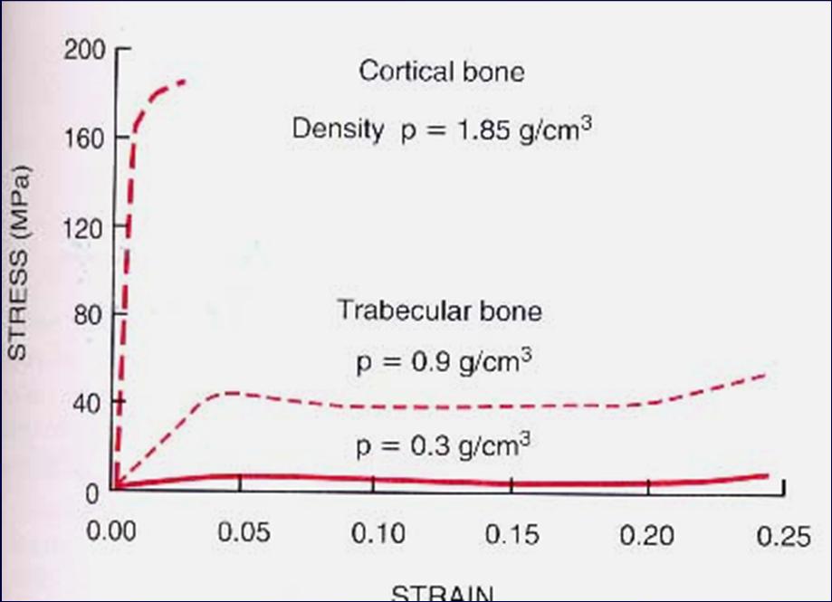 Bone Mechanics Bone Density Subtle density changes greatly changes strength and elastic modulus Density changes Normal