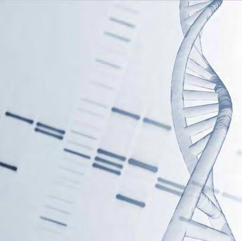 Always looking towards the future, we make the very latest technological advances in genomic medicine available to our patients as we have set up a unit specialised in genetics, which works daily