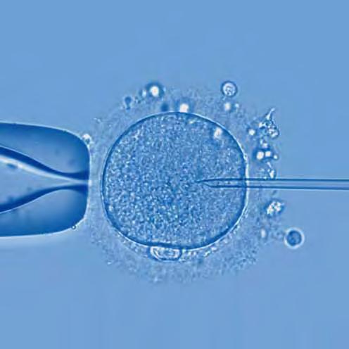 Over 20,000 babies have been born in our hospital using Assisted Reproductive Techniques.
