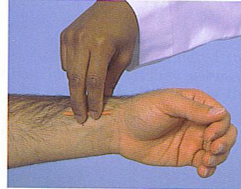 Radial Pulse Use pads of your fingers on the flexor surface of